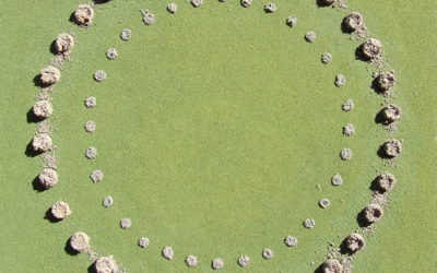 Henge 2